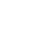 101