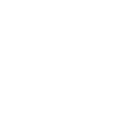 106