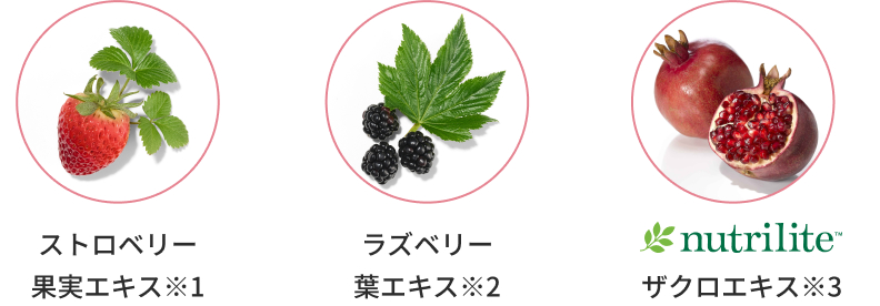 植物由来成分やケア成分