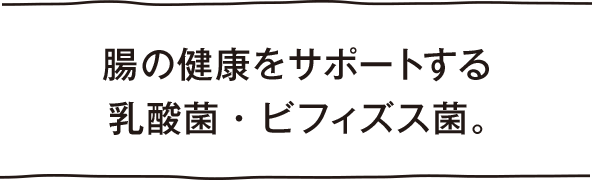 腸の健康をサポートする乳酸菌・ビフィズス菌