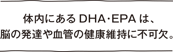  体内にあるDHA・EPAは、脳の発達や血管の健康維持に不可欠。