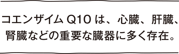 コエンザイムQ10は、心臓、肝臓、腎臓などの重要な臓器に多く存在