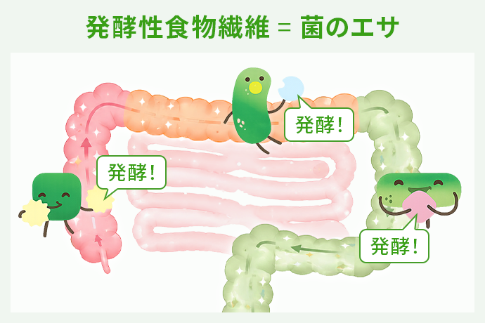 ファイバー パウダー プラス | amwaylive