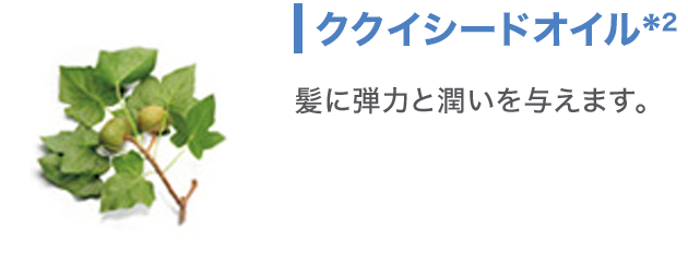 ククシードオイル 髪に弾力を潤いを与えます。