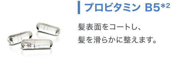 ビタミン B5 髪表面をコートし、髪を滑らかに整えます。