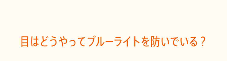 目はどうやってブルーライトを防いでいる？
