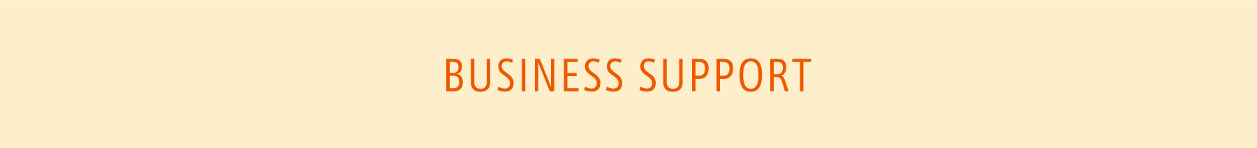 BUSINESS SUPPORT