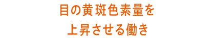 目の黄斑色素量を上昇させる働き