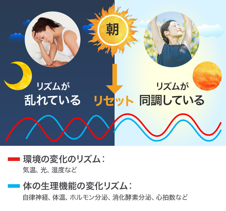 乱れたリズムをリセット!「My朝」が健康にいいワケ | amwaylive