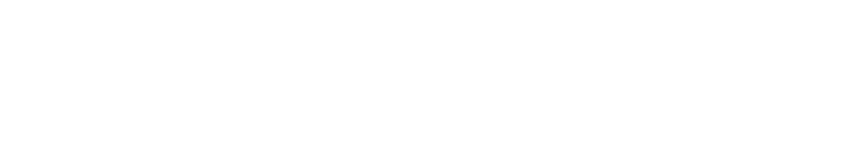 VIVICHU TM