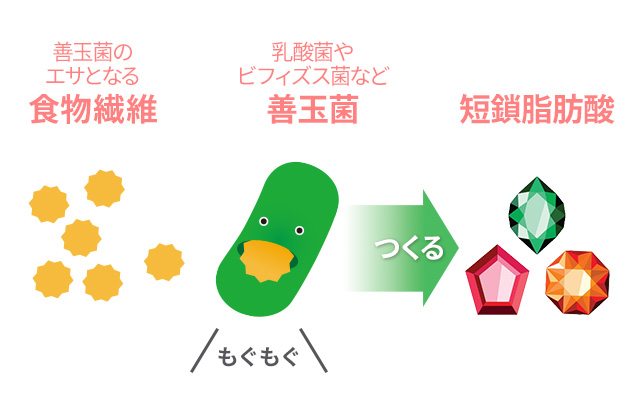 ニュートリ ビギン™ | amwaylive