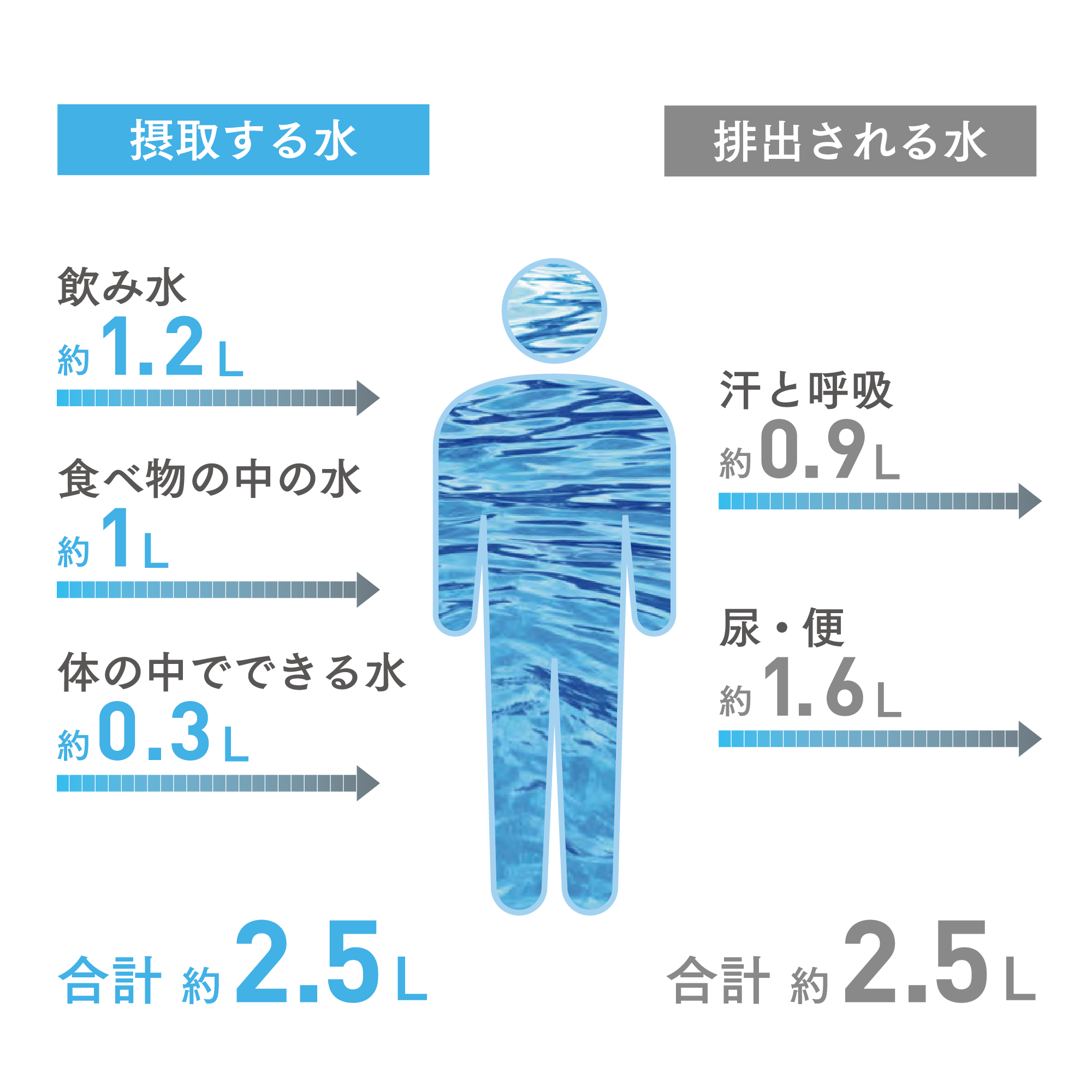 経典 です アムウェイ amway 浄水器II Amway アムウェイ （ビルトイン型）2年保証