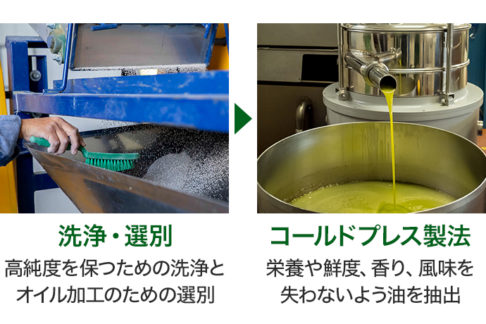 洗浄・選別 高純度を保つための洗浄とオイル加工のための選別　コールドプレス製法 栄養や鮮度、香り、風味を失わないよう油を抽出