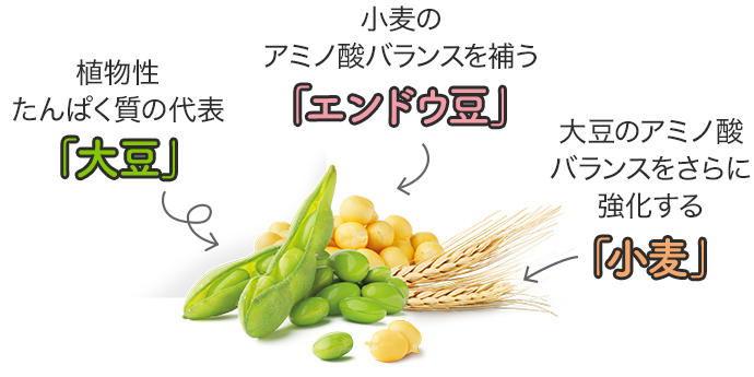 虎鉄 ニュートリ プロテイン オールプラント 41LOPoapRqL.jpg_BO30,255,255,