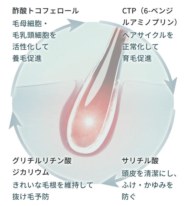 サイトマックス™ | amwaylive