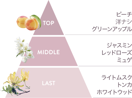 サテニーク™ | amwaylive