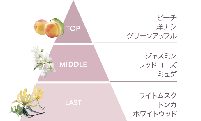 サテニーク™ | amwaylive