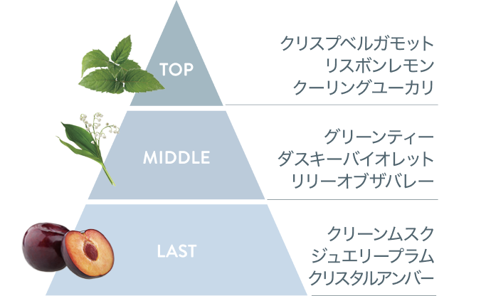 サテニーク™ | amwaylive
