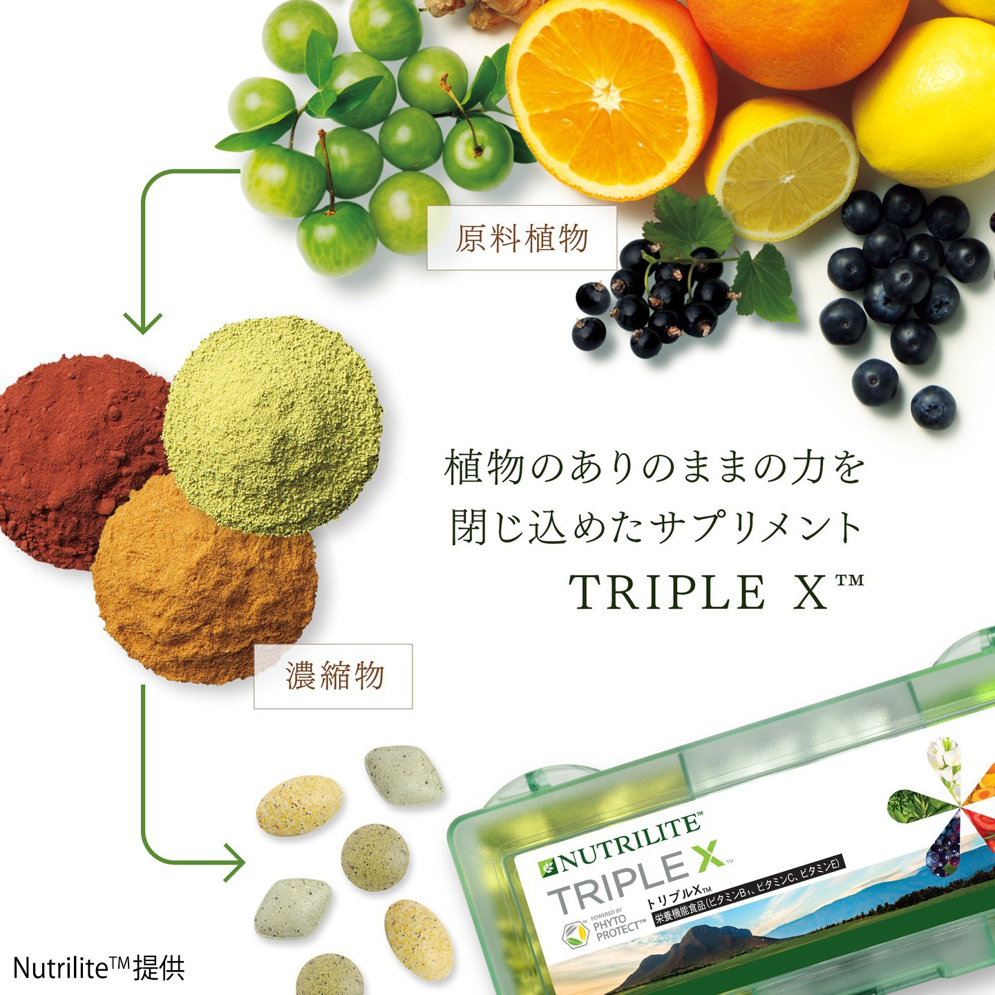 トリプルX/amway/アムウェイ/マルチビタミン アムウェイトリプルX トリプルX - マルチビタミン＆ミネラル