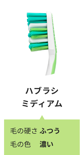 ハブラシ ミディアム 毛の硬さ ふつう 毛の色　 濃い