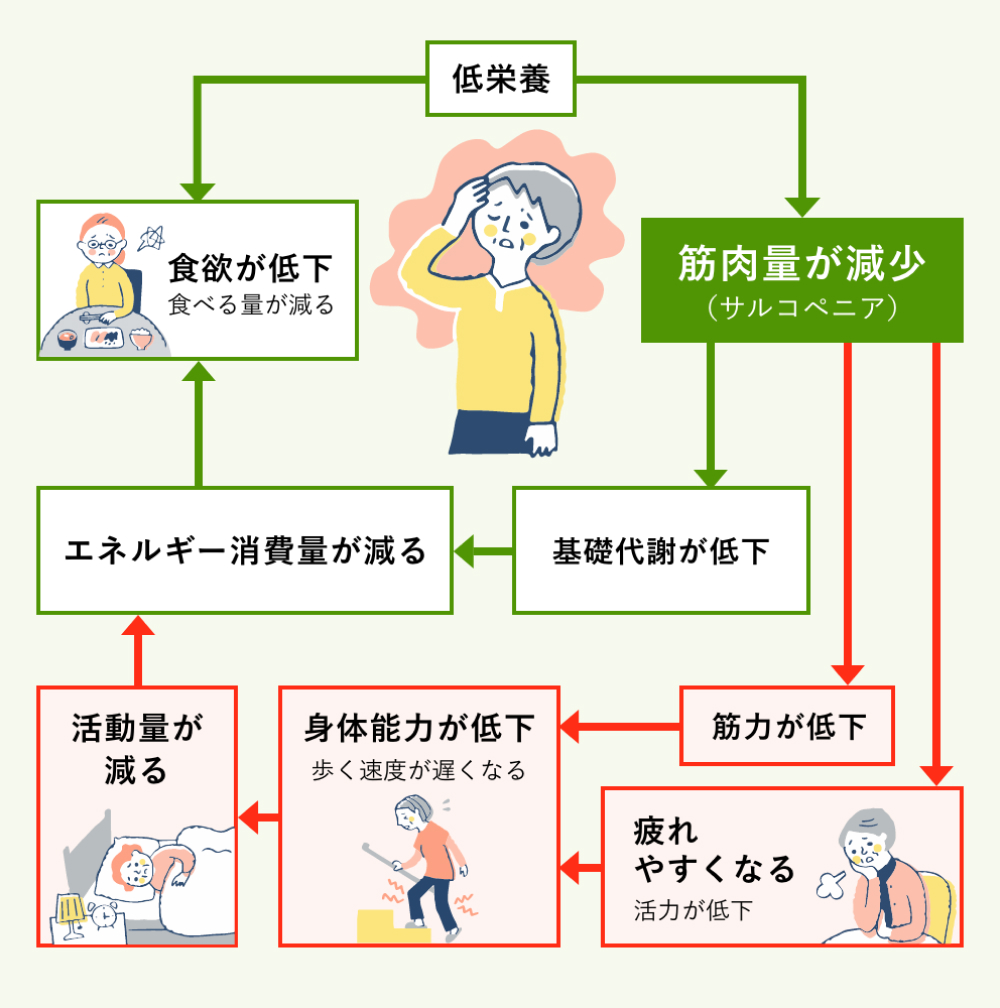 ニュートリライト™ ウォーキングプログラム：3つの簡単な