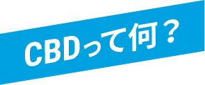 CBDって何？