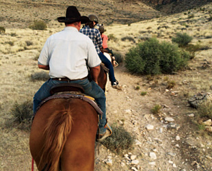 Hose Back Riding2