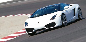 EXOTIC RACING Drivingコース