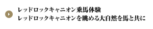 レッドロックキャニオン乗馬体験 レッドロックキャニオンを眺める大自然を馬と共に