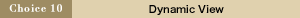 Choice 10 Dynamic View
