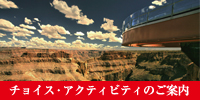 チョイスアクティビティのご案内