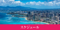 スケジュール